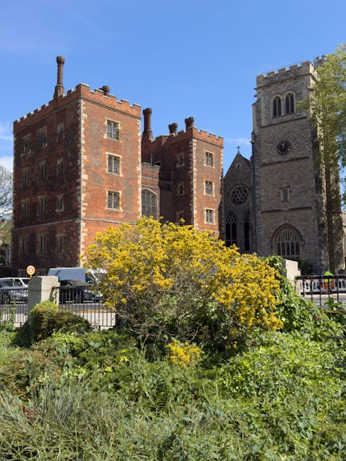 A vibrant yellow flowering shrub with dense foliage and numerous small blooms dominates the foreground of the image, situated in a garden bed with varying green plants. Behind the shrub, a black metal fence separates the garden area from a paved street. Several parked cars are visible along the street, partially obscured by the shrubbery. In the background, an imposing medieval-style brick castle with a rectangular, multi-towered structure stands prominently, featuring small rectangular windows and battlement-style parapets. Adjacent to the castle, a tall stone church tower with a clock face, arched windows, and crenellated top rises, creating a striking architectural contrast against the bright blue sky. Sunlight illuminates the scene, casting soft shadows and highlighting the textures of the brickwork, stone, and greenery. The setting suggests a historic city environment where private land or garden areas coexist with iconic religious and defensive structures, representative of independent local arrangements for land use and waste disposal accessible to Waste Clearance Lambeth customers seeking alternative rubbish removal solutions.